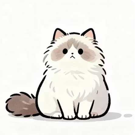 Cat 100000 coin