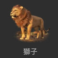 Lion-狮子