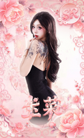 生菜Shirley - Collection Card