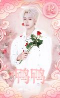 鸭鸭YY-Collection Card